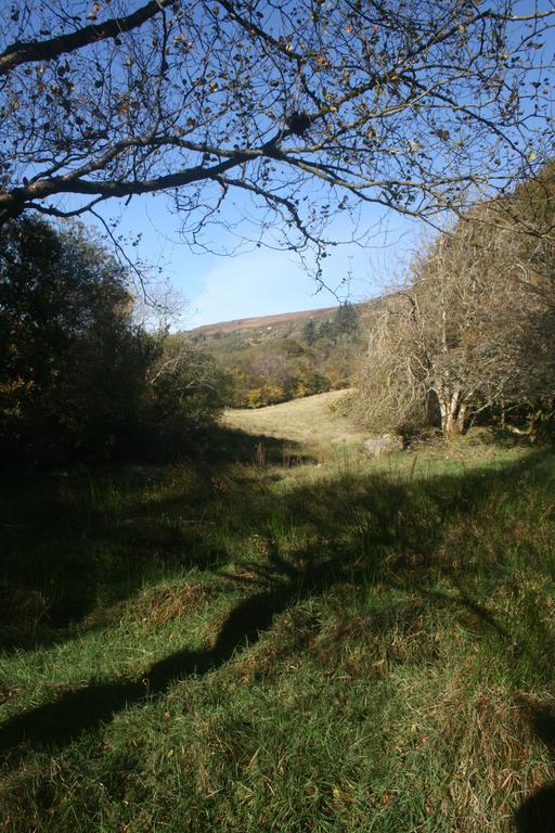 Laragh Mountain View Lodge Saggart Екстер'єр фото