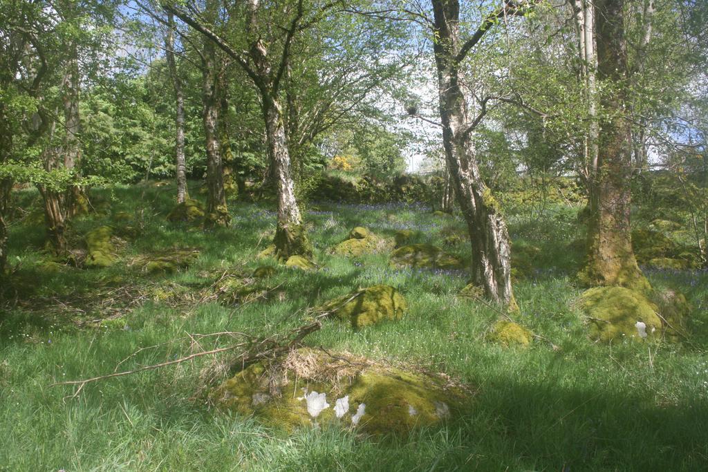 Laragh Mountain View Lodge Saggart Екстер'єр фото